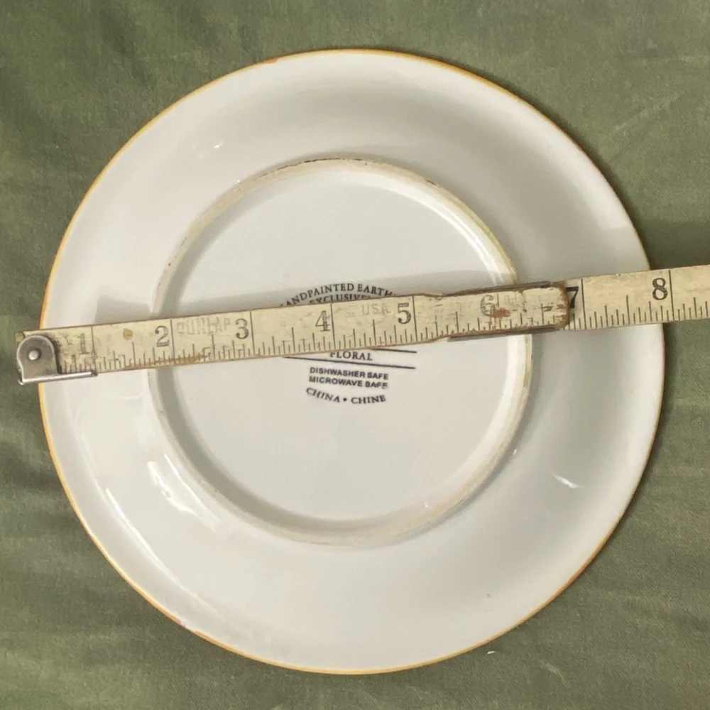 Pier 1 salad desert plate 8” round Floral design lot of 2 UBG